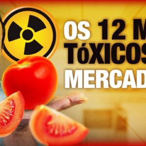 As 12 Frutas e Legumes + Contaminadas e as 15 Menos (O que comprar orgânico)