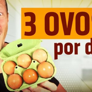 O Que Acontece no Corpo ao Comer 3 Ovos Por Dia? (3 Mega Benefícios)