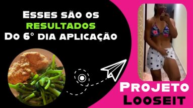 6° dia do Projeto Looseit